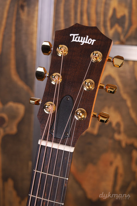 Taylor 50th Anniversary GS Mini-e Rosewood LTD 