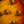 Gibson Les Paul ‘59 Historic Aged Reissue Tom Murphy Aged 2002