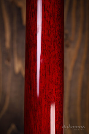 Gibson Les Paul Special Vintage Cherry