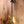 Gibson Custom '57 Les Paul Goldtop Darkback VOS 2023 PRE-OWNED!