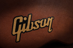 ES-335 Original Hard Shell Case