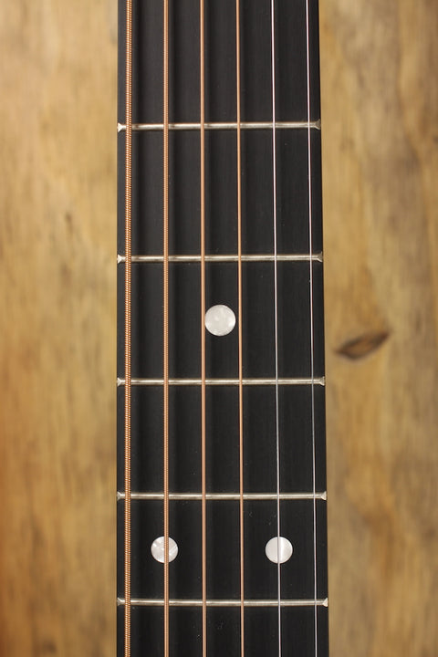 Martin D-10E Road Series