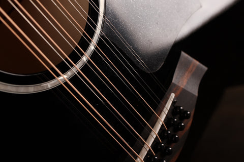 Taylor 250ce-BLK DLX