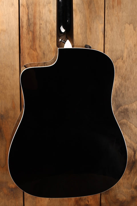 Taylor 250ce-BLK DLX