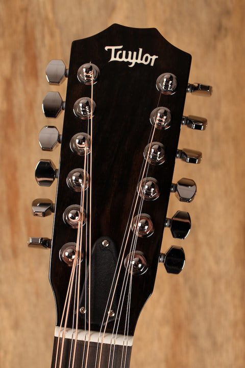 Taylor 250ce-BLK DLX