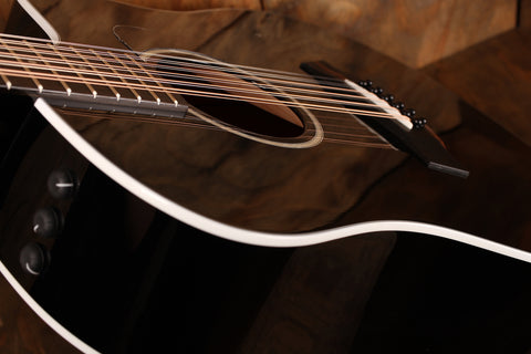 Taylor 250ce-BLK DLX