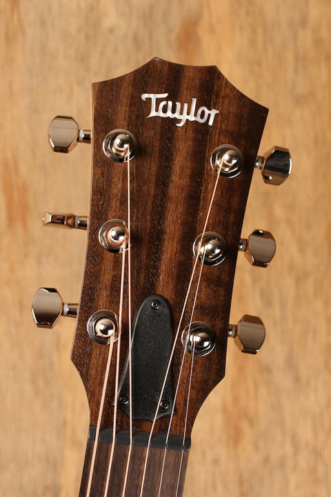 Taylor GTe Urban Ash 