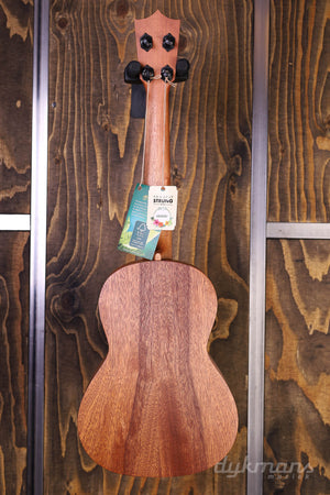 Martin T1 FSC Tenor Ukulele