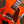 Ibanez AF95 Divine Amber PRE ORDER