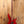 Ibanez GSR200 Transparent Red